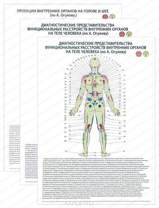 Огулов атлас проекционных зон и схем здоровья
